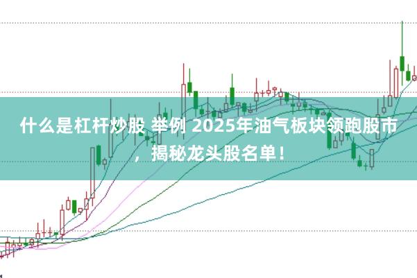 什么是杠杆炒股 举例 2025年油气板块领跑股市，揭秘龙头股名单！