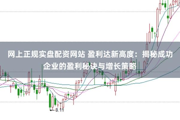 网上正规实盘配资网站 盈利达新高度：揭秘成功企业的盈利秘诀与增长策略
