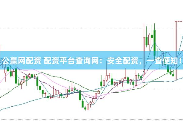 公赢网配资 配资平台查询网：安全配资，一查便知！