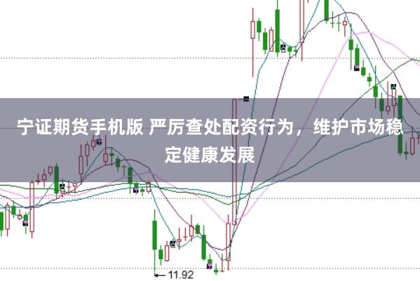 宁证期货手机版 严厉查处配资行为，维护市场稳定健康发展