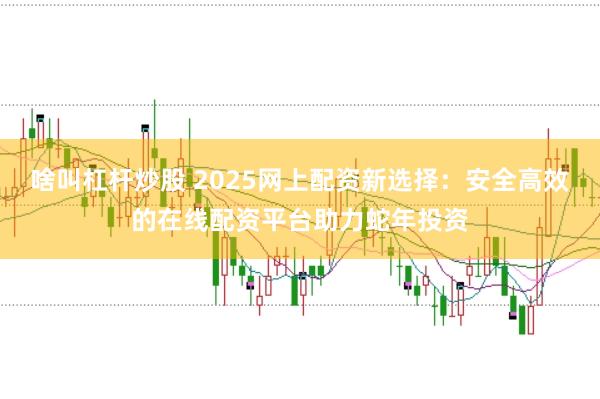 啥叫杠杆炒股 2025网上配资新选择：安全高效的在线配资平台助力蛇年投资