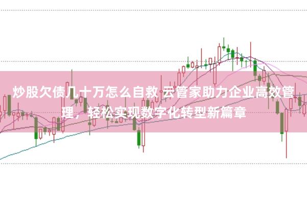 炒股欠债几十万怎么自救 云管家助力企业高效管理，轻松实现数字化转型新篇章