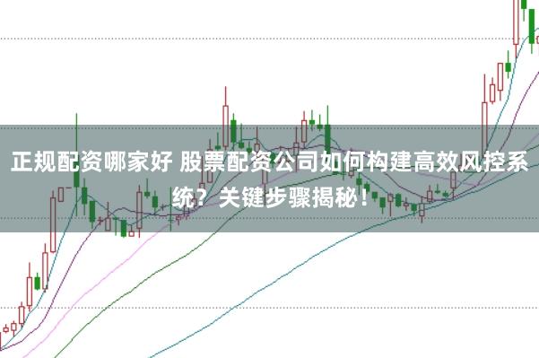 正规配资哪家好 股票配资公司如何构建高效风控系统？关键步骤揭秘！