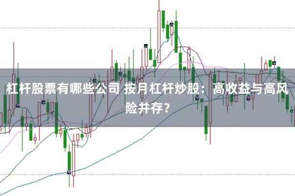 杠杆股票有哪些公司 按月杠杆炒股：高收益与高风险并存？