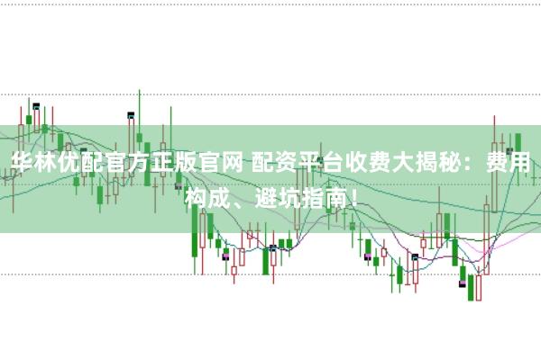 华林优配官方正版官网 配资平台收费大揭秘：费用构成、避坑指南！