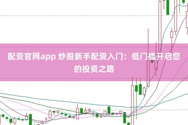 配资官网app 炒股新手配资入门：低门槛开启您的投资之路