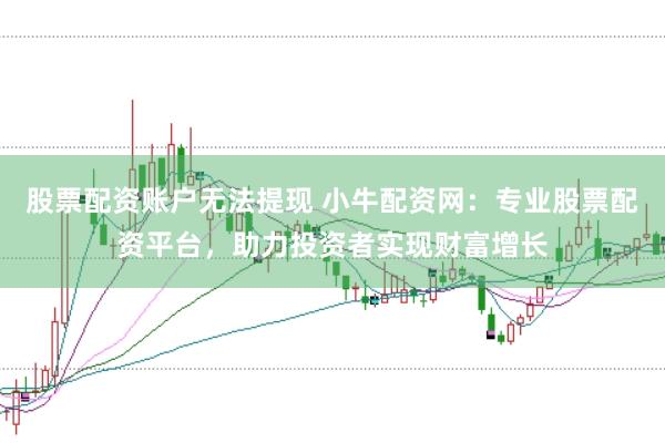 股票配资账户无法提现 小牛配资网：专业股票配资平台，助力投资者实现财富增长