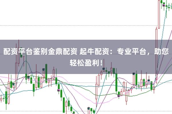 配资平台鉴别金鼎配资 起牛配资：专业平台，助您轻松盈利！