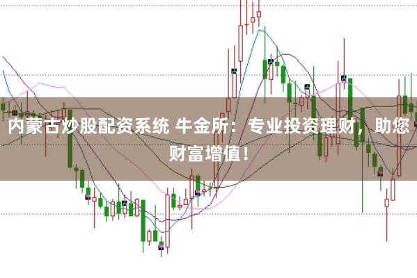 内蒙古炒股配资系统 牛金所：专业投资理财，助您财富增值！