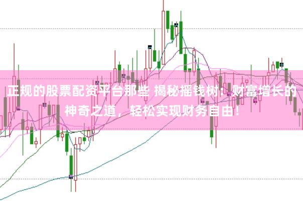 正规的股票配资平台那些 揭秘摇钱树：财富增长的神奇之道，轻松实现财务自由！