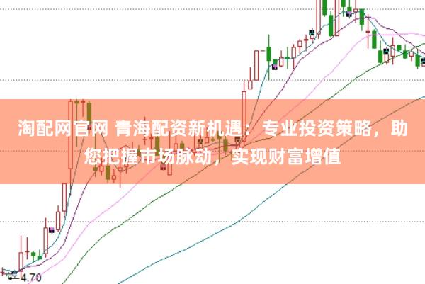 淘配网官网 青海配资新机遇：专业投资策略，助您把握市场脉动，实现财富增值